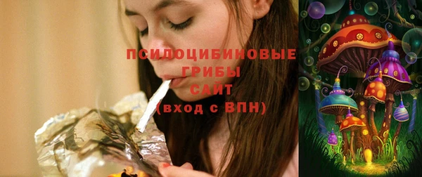 дживик Приозерск